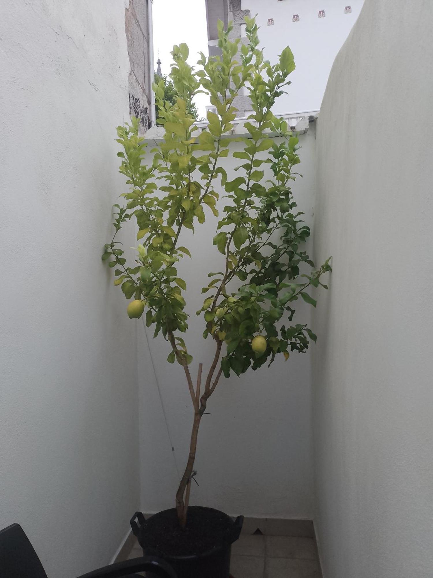 Ferienwohnung Atalaya Mundaka Exterior foto